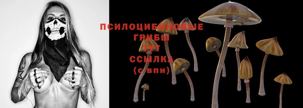 героин Алзамай