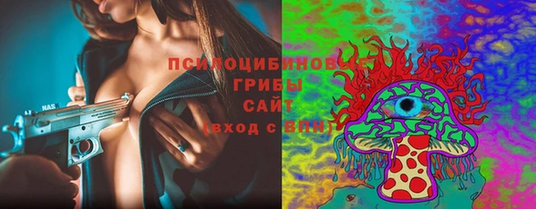 дживик Алексеевка
