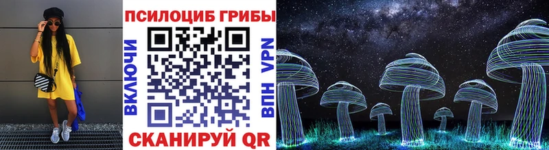 Галлюциногенные грибы Psilocybine cubensis  закладки  Сокол 
